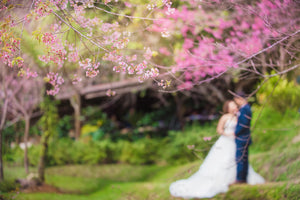 Plus Size Spring Wedding Guest Outfits