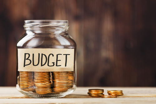 Buying Vikki Vi On A Limited Budget