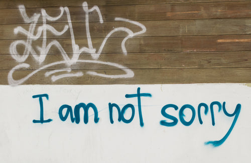 No More Plus Size Apology Clothes