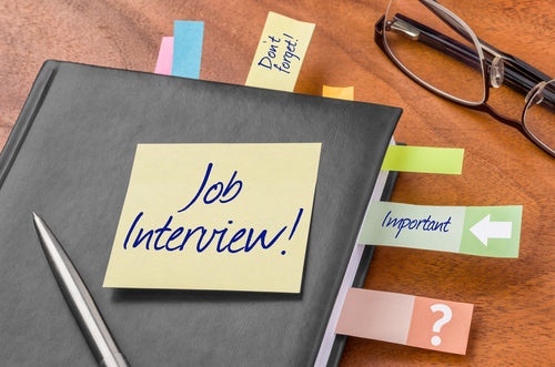 Plus Size Job Interview Outfits