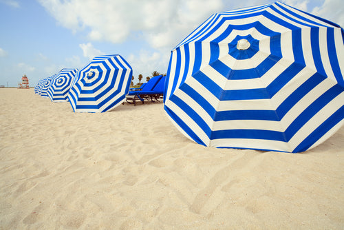 Summer 2019 Plus Size Trends