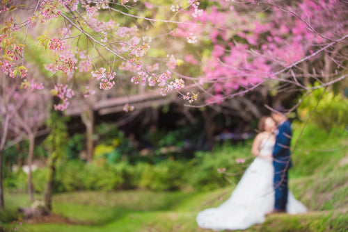 Plus Size Spring Wedding Guest Outfits