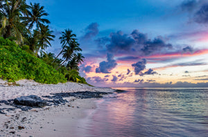 Plus Size Tropical Vacation Inspiration - Read the Blog